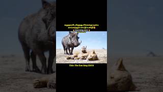 A wild boar saves a lion cub from eaglesshortsThe lion kingshort [upl. by Frame317]