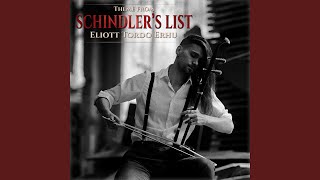 Theme from Schindlers List [upl. by Archibaldo524]