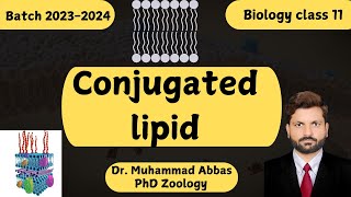 The Chemistry of Fats amp Oils Conjugated Lipids Explained [upl. by Eilyak]