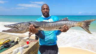 Epic Spearfishing Adventure in Jamaica How to Hunt Barracuda [upl. by Zoi436]