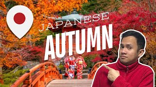 Planning Your Perfect Autumn Trip to Japan  10 Best Destinations in Fall [upl. by Gottfried74]