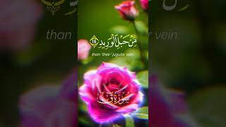 sureh quaf translation tilawattarjumakesath quranrecitation islamicstatus duet [upl. by Meneau]