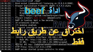 اختبار اختراق عن طريق رابط beef xss [upl. by Juley938]