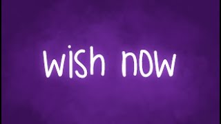 Disney Star Darlings Wish Now Lyrics [upl. by Nosdivad648]