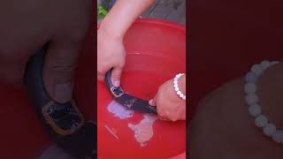 Mom Teaches you to Repair Tires TikTok Creative Humor Video lFunny Video Long Mom [upl. by Llerrahs25]