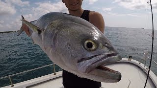 Peche tassergal sur leurre de surface au Cap dAgde [upl. by Thorma]