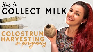 Hand Expression In Pregnancy  How To Collect Colostrum [upl. by Lynnell604]