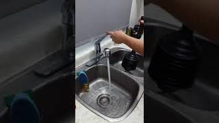 How to plunge a double sink  DIY Drain Troubleshooter [upl. by Killarney374]