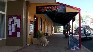 Quilpie queensland [upl. by Aynos492]