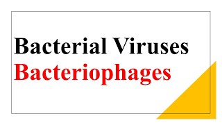 Bacterial Viruses Bacteriophages [upl. by Nirret]