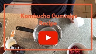 Kombucha Gummies Recipe [upl. by Corette758]