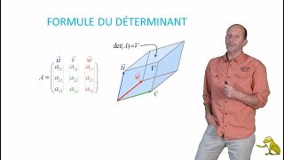 Formule du déterminant [upl. by Dnaltiac]