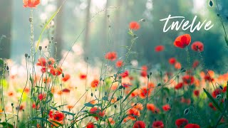 12 Hours of Relaxing Music  Piano Music for Stress Relief Sleep Music Meditation Music Riley [upl. by Nide]