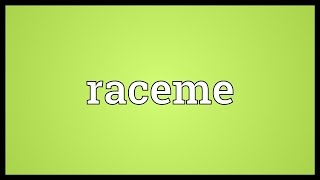 Raceme Meaning [upl. by Acima130]