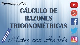 Trigonometría  Cálculo de razones trigonométricas [upl. by Jarrett]