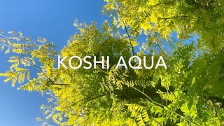 KOSHI CHIMES  Koshi Aqua Tuned Wind Chimes  Koshi Bells Meditation Music 2020 [upl. by Arihsak]