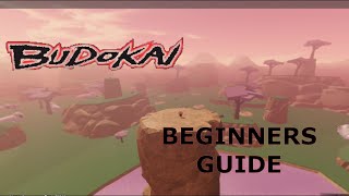 BUDOKAI BEGINNERS GUIDE UPDATED [upl. by Anivlis]