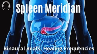 Spleen meridian  Pancreas meridian  Binaural Beats  Healing Frequencies [upl. by Siol]