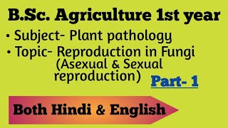 Reproduction in Fungi Asexual and sexual reproduction  BSc Ag 1st year  plant pathology [upl. by Ibrik826]