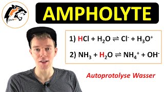 Was sind Ampholyte  Chemie Tutorial [upl. by Einittirb]