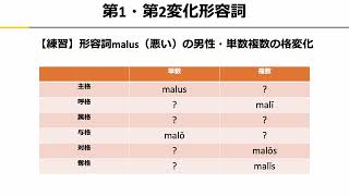 【ラテン語文法】第1・第2変化形容詞 [upl. by Eirrac]