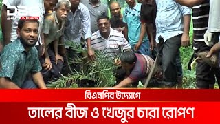 ঝালকাঠিতে বিএনপির উদ্যোগে তালের বীজ ও খেজুর চারা রোপণ  DBC NEWS [upl. by Phionna]