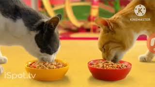 Purina Friskies World Commercials Feed The Fantasy [upl. by Ortiz997]