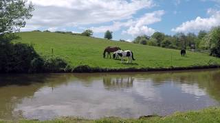 Atherstone Walk Woods and Canal [upl. by Guttery]