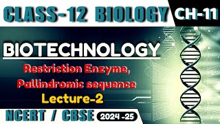 BIOTECHNOLOGY I L2 I PRINCIPLES AND PROCESS I RESTRICTION ENZYME I CLASS12 I NEETCBSEState Board [upl. by Alejandra]