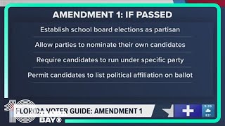 A breakdown of Florida amendments on the ballot in the 2024 Election [upl. by Solomon606]