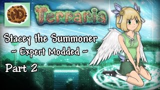 Terraria 133 Expert Modded Summoner Part 2  Stacey vs King Slime [upl. by Hefter910]