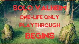 VALHEIM SOLO ONELIFE PLAYTHROUGH [upl. by Romo526]