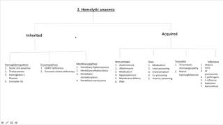 Algorithm 2  Haemolytic Anaemia [upl. by Suhploda320]