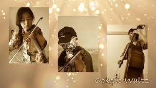 Ookpik Waltz The Twin Fiddlers [upl. by Irt]