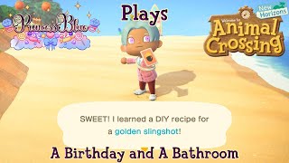 A Birthday and A Bathroom Animal Crossing New Horizons Episode 71 [upl. by Jauch]