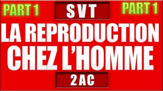 la reproduction chez lhomme svt 2 ac partie 1 [upl. by Yrrehc283]