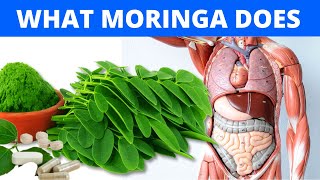 👉 The Shocking Truth About MORINGA Moringa Benefits amp Side Effects [upl. by Indnahc400]