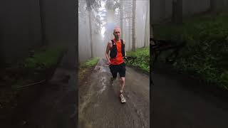 trailrunning in the Vosges France [upl. by Sirej720]