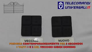 Come Programmare un Telecomando GIBIDI Domino [upl. by Nirrep]