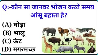 GK Question  GK In Hindi  GK Question and Answer  GK Quiz  Genaral knowledge  YT SIRAAAJ [upl. by Eiraminot]