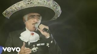 Vicente Fernández  Que De Raro Tiene Cover Audio La Leyenda Viviente Video [upl. by Ynetsed]