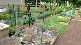 10 Trellising Options for Containers amp Earth Beds Tomatoes Cucumbers Squash Melons amp More [upl. by Aytac]