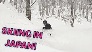 Skiing in JAPAN is AWESOME Hakuba Valley Resorts [upl. by Adiell]