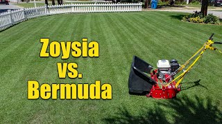 Zoysia Grass vs Bermuda Grass for Lawns [upl. by Long]