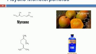 Terpenoids ppt [upl. by Aihsat341]