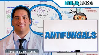 Antifungals [upl. by Yeldahc335]