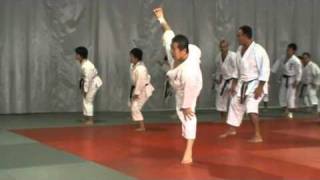 Sensei Kagawa Masao Curso Madrid2 [upl. by Au]