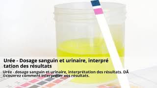 Microalbuminurie – Analyse urinaire – Interprétation des résultats [upl. by Airemat407]