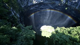 Prehistoric forest discovered in giant sinkhole in China [upl. by Ellemaj]