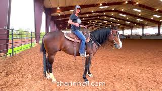 Tuesday Tip Building Your Barrel Horses Hind Quarters Muscle Group [upl. by Ueih]